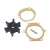 Крыльчатка помпы охлаждения двигателя Johnson/Vetus/Volvo-Penta 500116GX CEF | RiverMart.ru
